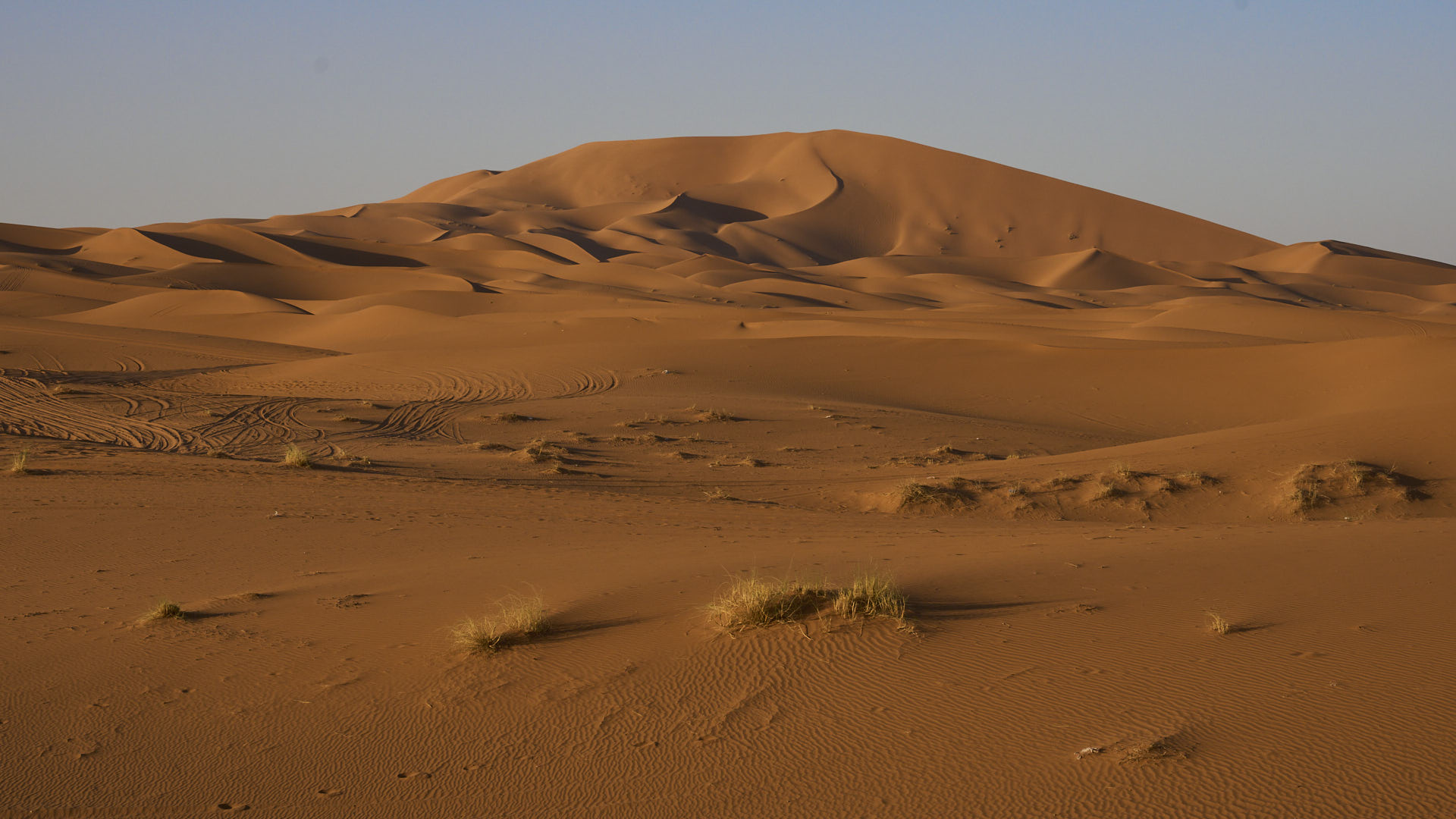 Sahara 5.jpg
