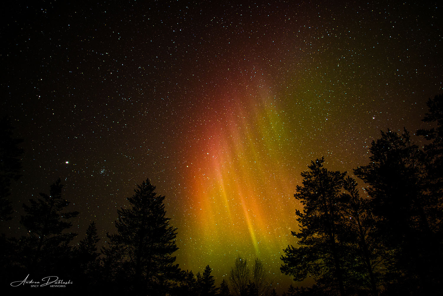 Polarlichter-Finnland.jpg